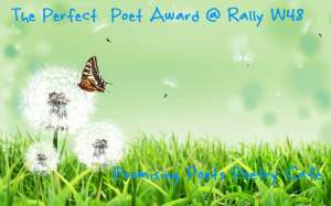Perfect Poet Award Week 48