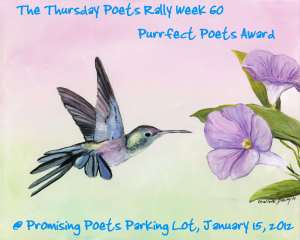 perfect poet award week 60