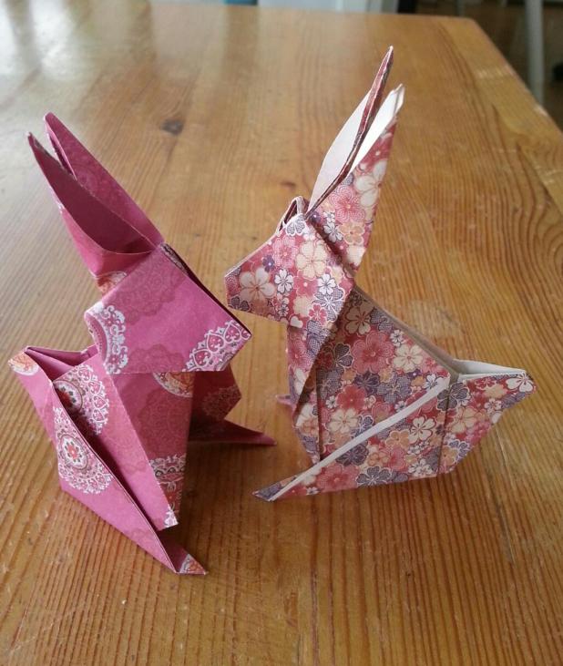 882822_10200212117438204_23148249_o