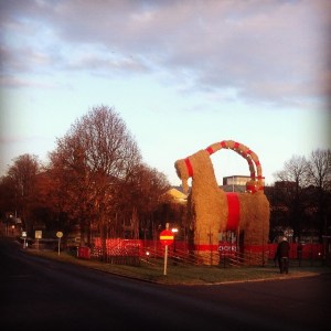 It's a beautiful day...to burn.