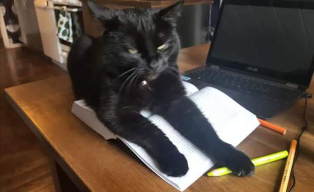 FB_IMG_1584910335129