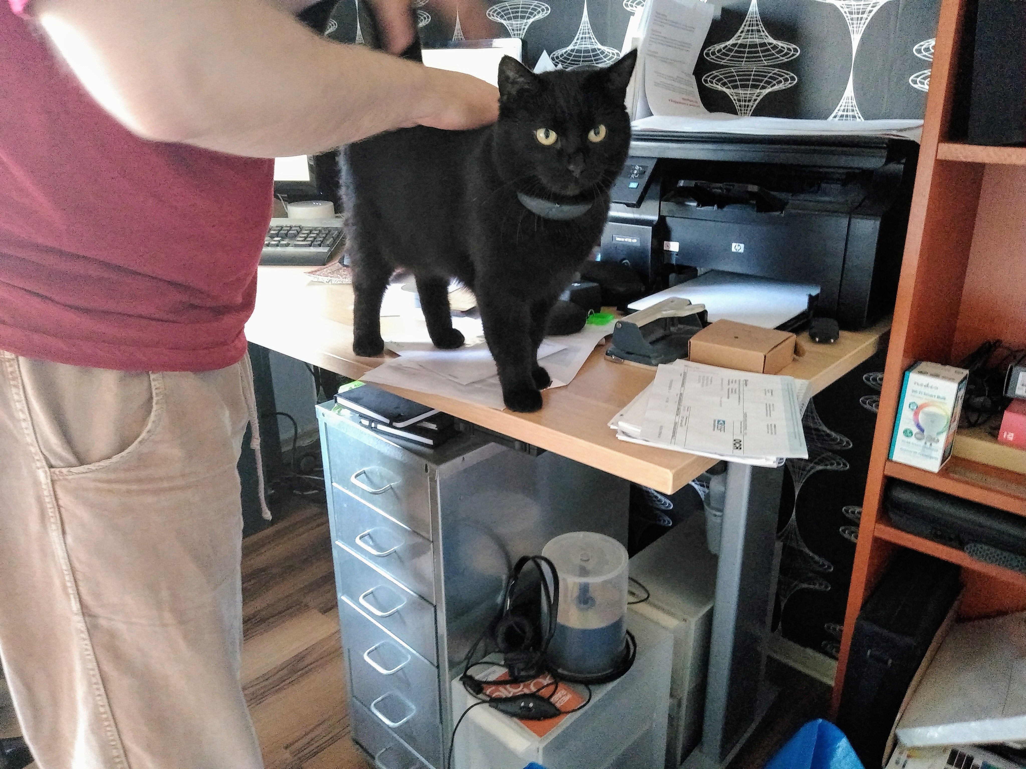 IMG_20200323_080723368