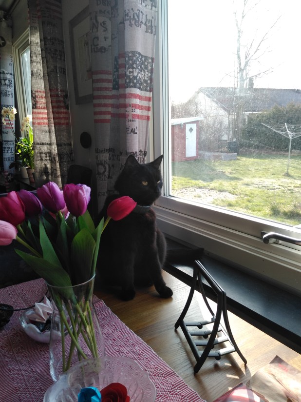 IMG_20200323_081023531