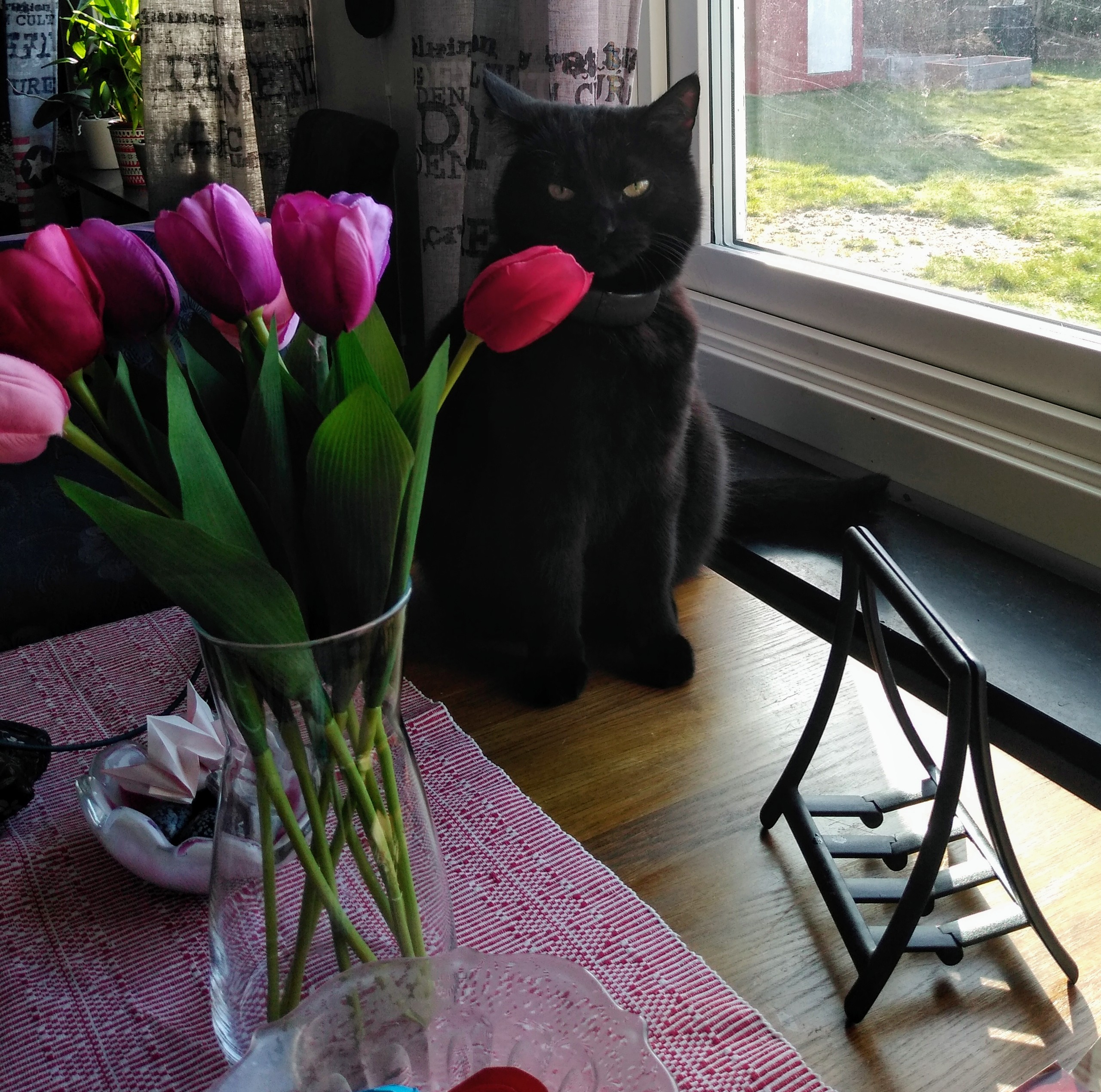 IMG_20200323_081024911