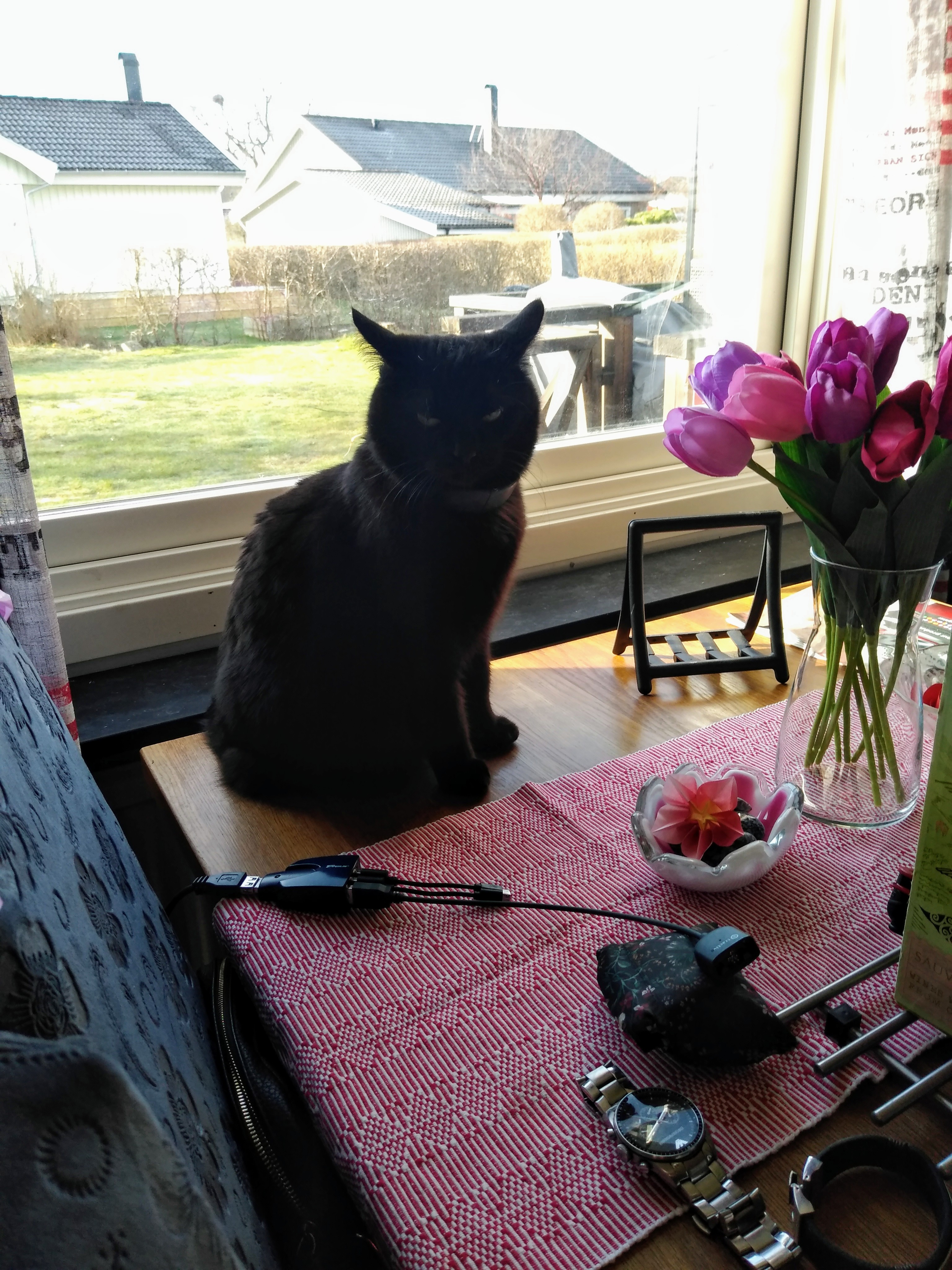 IMG_20200323_081156986